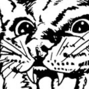 Profile photo of Ryan Rebollar